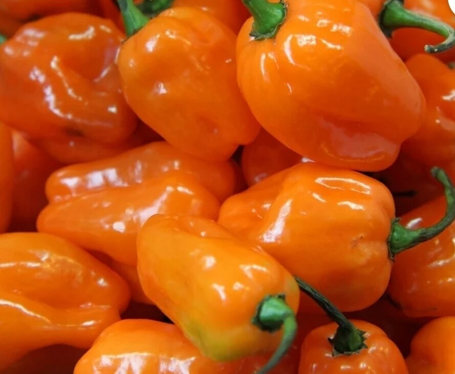 Vegetables Vegetables