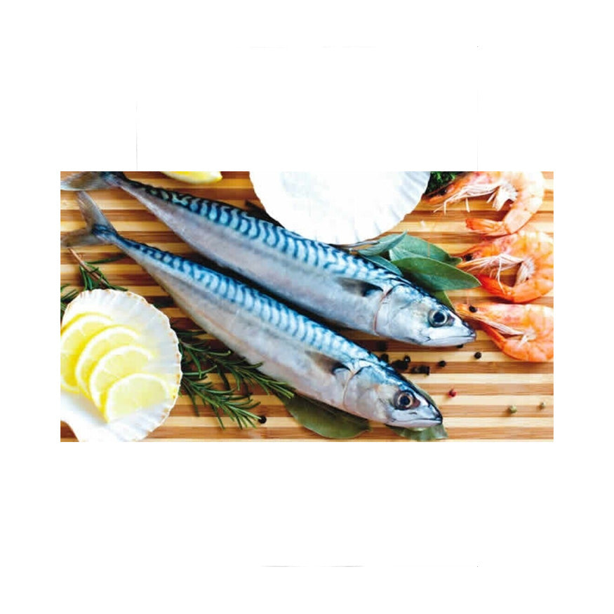 Mackerel Titus Fish 3lb