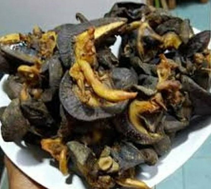 Enerem African Dried Snails / Igbin (5 large pcs)